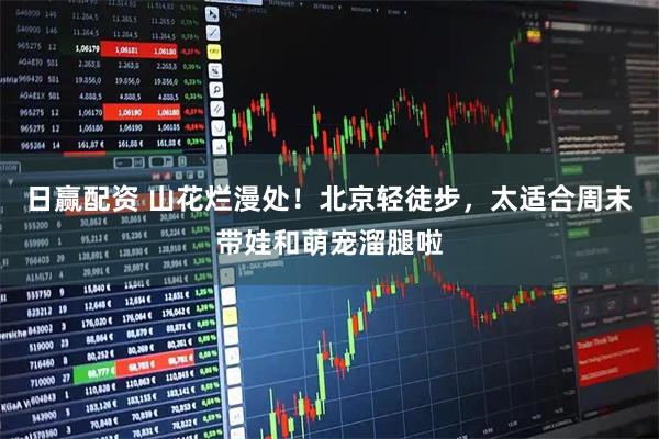 日赢配资 山花烂漫处！北京轻徒步，太适合周末带娃和萌宠溜腿啦