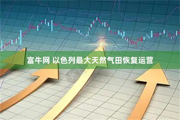 富牛网 以色列最大天然气田恢复运营